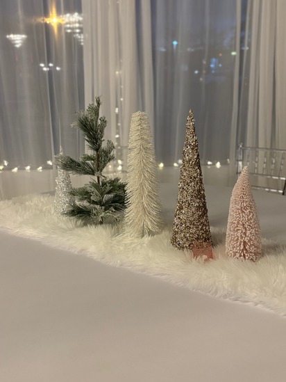 Christmas celebration